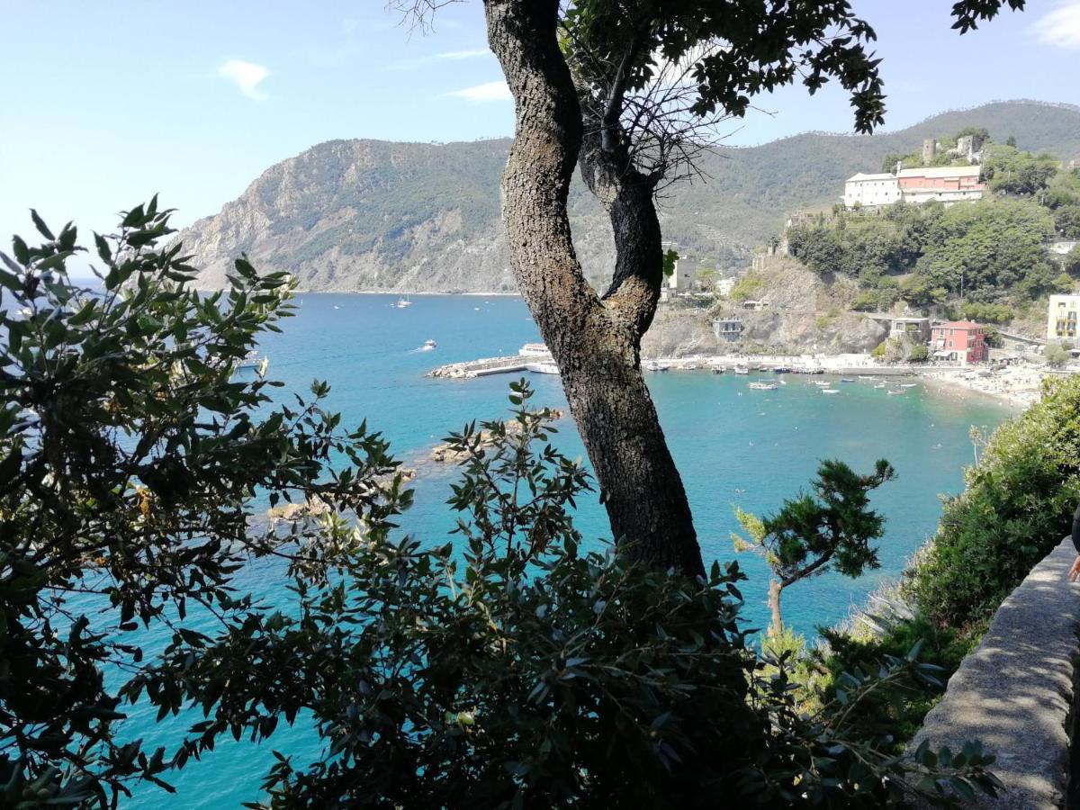 La Terrazza Sul Mare ☆☆☆☆☆ Monterosso Apartment Монтеросо ал Маре Екстериор снимка